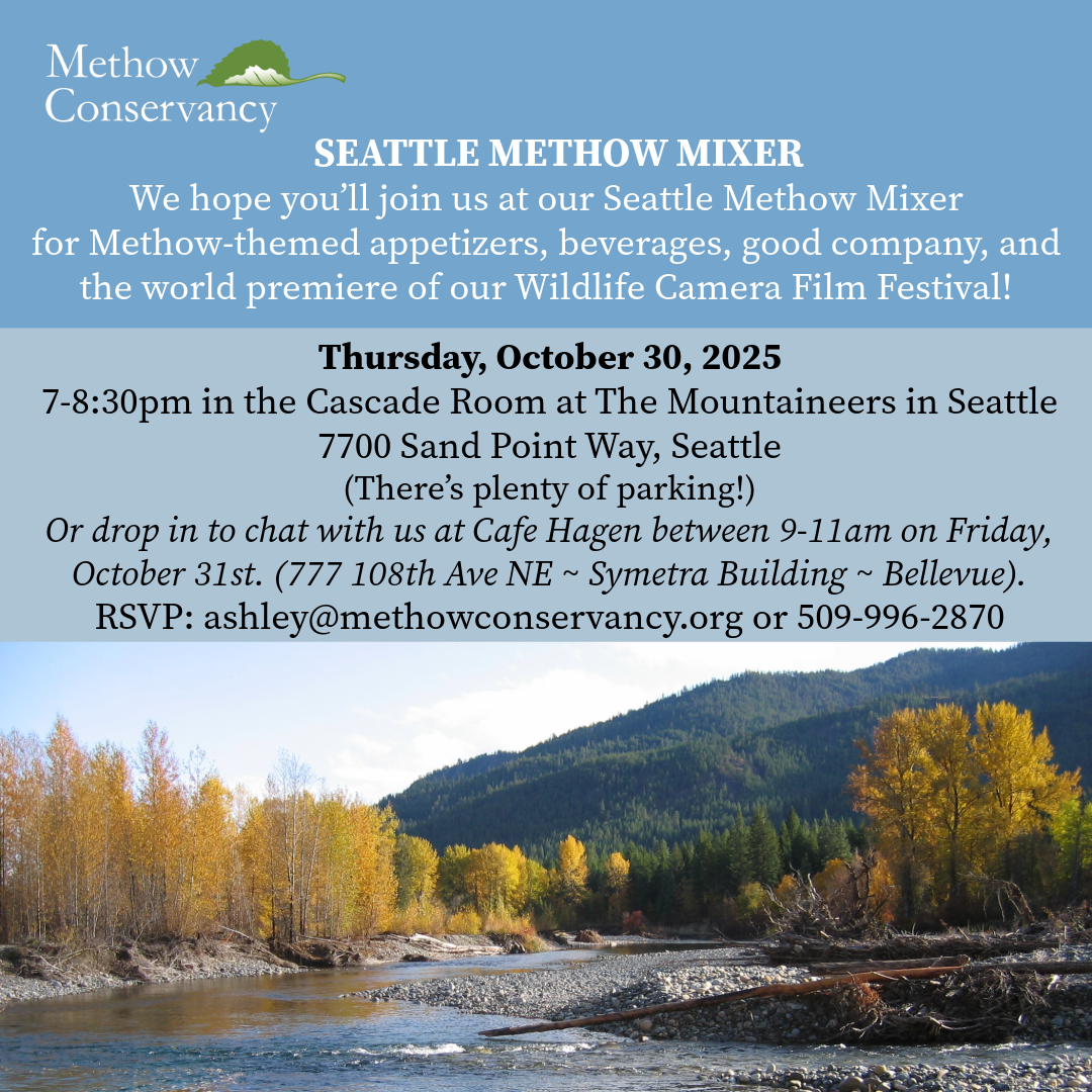 Methow Mixer 2025 invitation