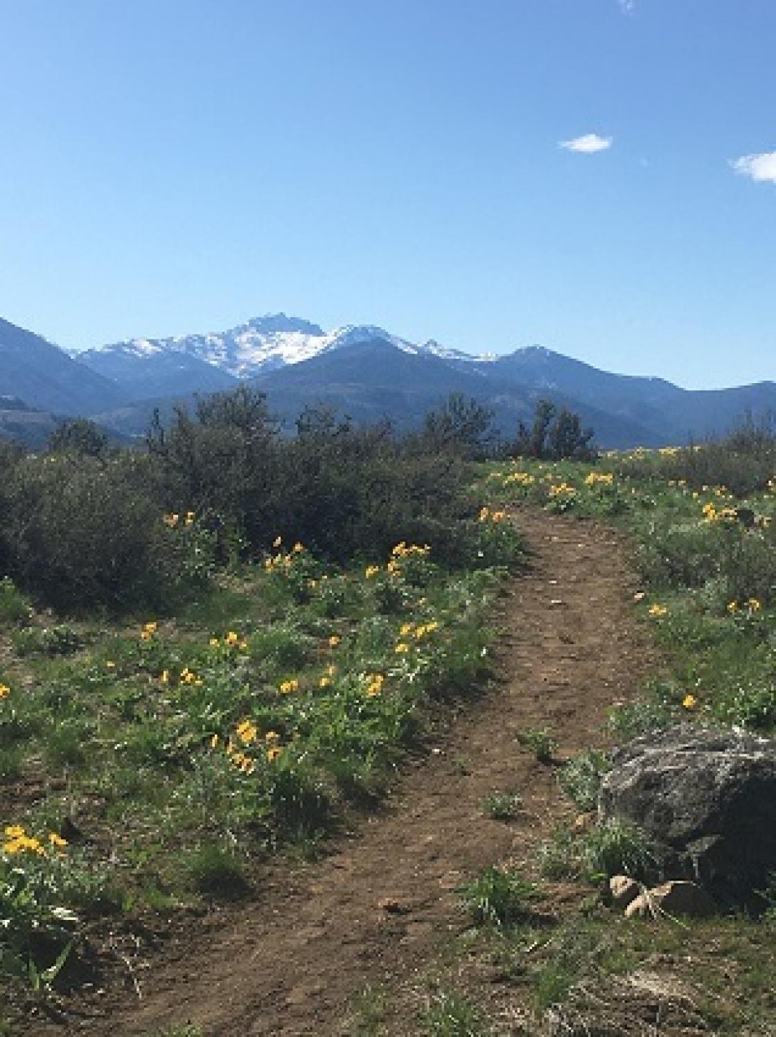 Visit Meadowlark Natural Area