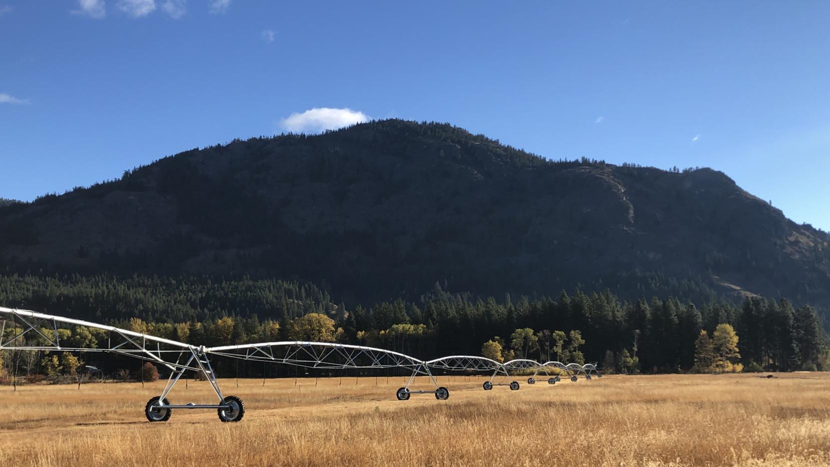 Woodward Farm Field Clean Up Work Party