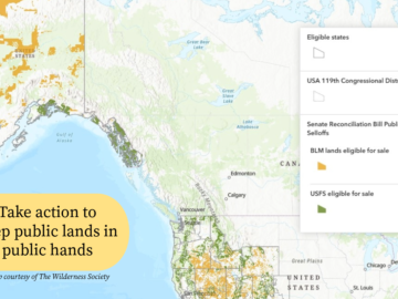 TWS map of land sale 11 states
