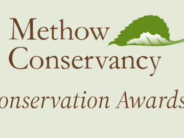 Untitled 2025 11 25 T112130 300