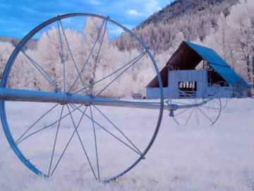 Barn and wheel line
