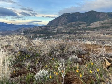 Cee6f6ae 8d2e 43d1 8534 c6bd2f3290ab