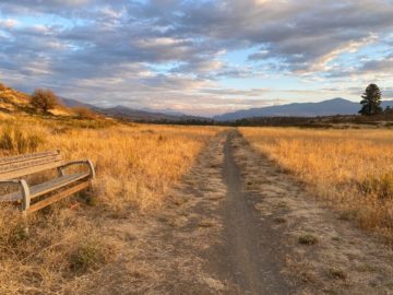 Fall at bitterbrush