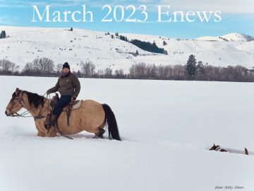 Mar 23 enews photo for web thumbnail