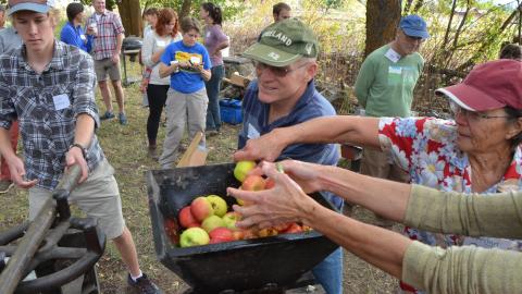 Cider Squeeze