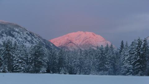 IMG 9060