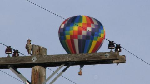Balloon Fest 3 2010 JP