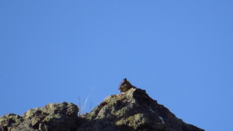 IMG 0262