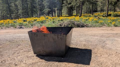 Banner Crop 1000007286