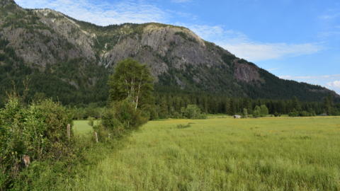 DSC 1239