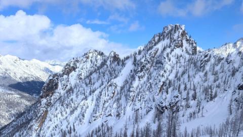 Josh Kennedy web banner cropped