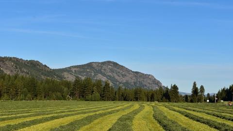 Mazama Corner Hay Spring2018 Alyssa Jumars smaller