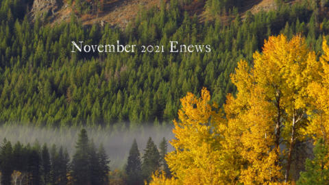 Nov 21 Enews main photo