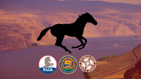 Pleistocene horse hunting Website image png