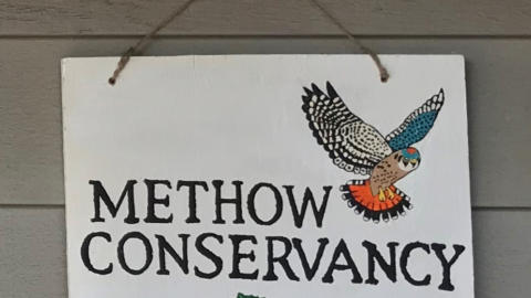 Trevin sign close up