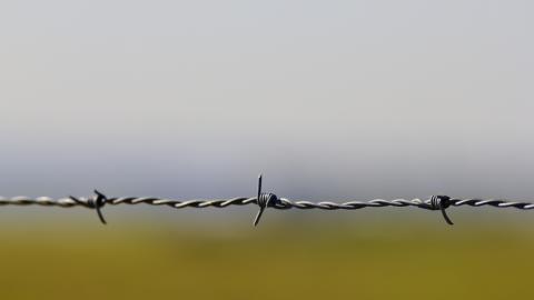 Barbed wire