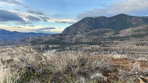 Cee6f6ae 8d2e 43d1 8534 c6bd2f3290ab