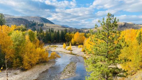 Chewuch river ashley lodato