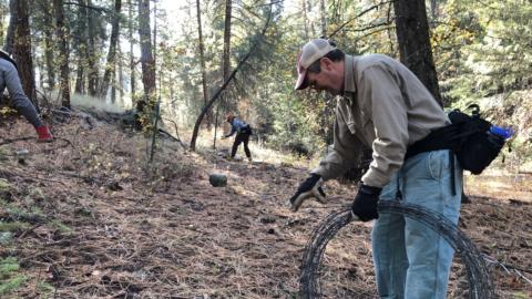 Coiling barbed wire on sunny m 2023