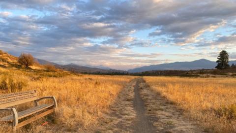 Fall at bitterbrush