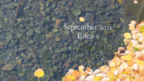 Sept 2021 enews cover