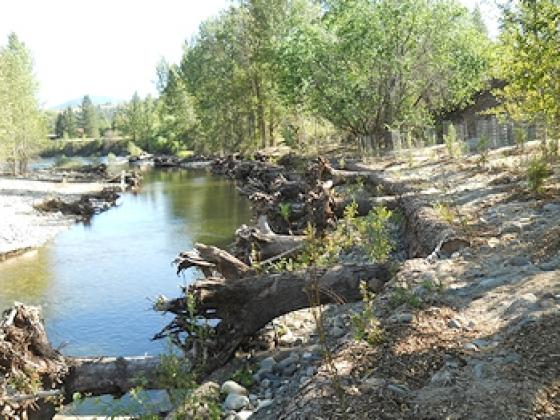 River restoration for Jen Mol Talk
                    