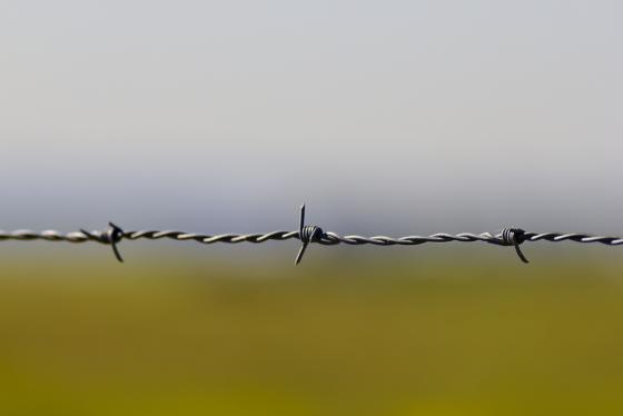 Barbed wire
                    