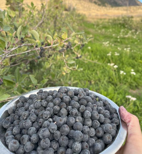Cropped Beaver Food Forest Tour004