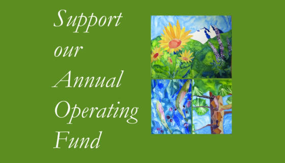 Support our annual operating fund button
                                