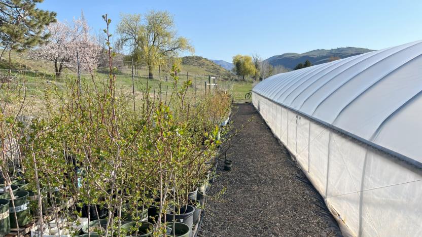 First Tuesday: In the Field at Beaver Food Forest Farm