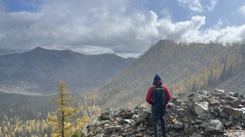 Field Trip: Alpine Ecology and Botany