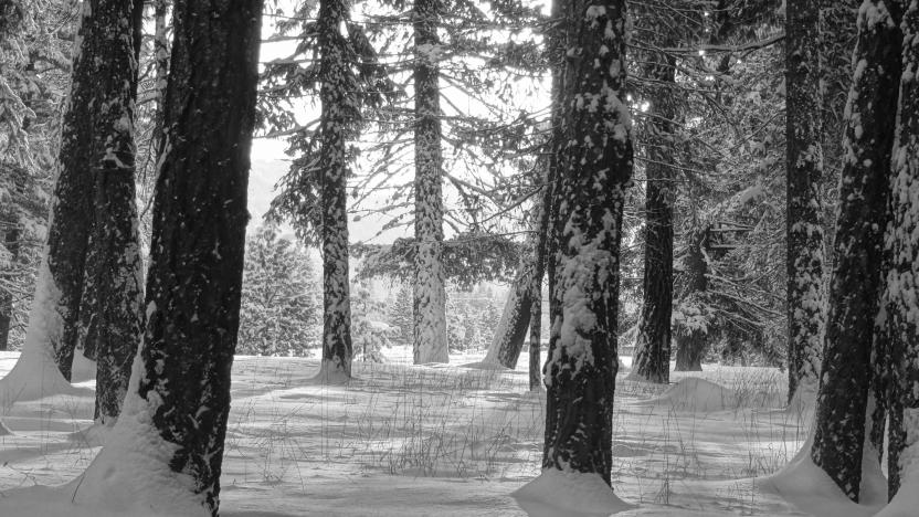 First Tuesday on a Thursday: January 3: Citizen Scientists and Seasonal Snow Modeling with David Hill