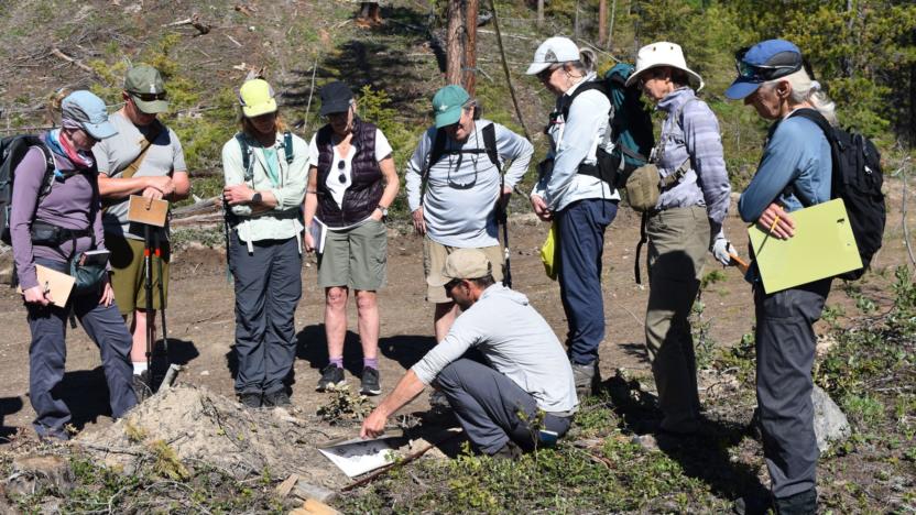 Two-Day Wildlife Tracking Course with David Moskowitz
