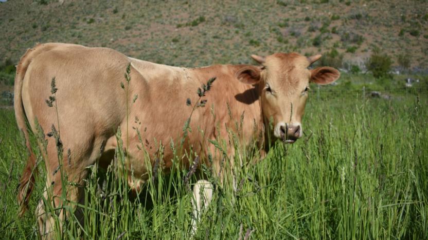 The Farmers' Forum 2026