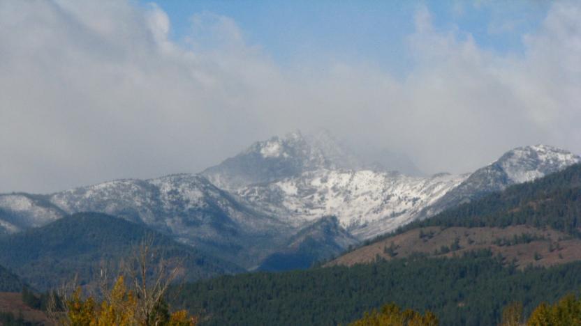 First Tuesday Program - “Wolverines of the North Cascades”