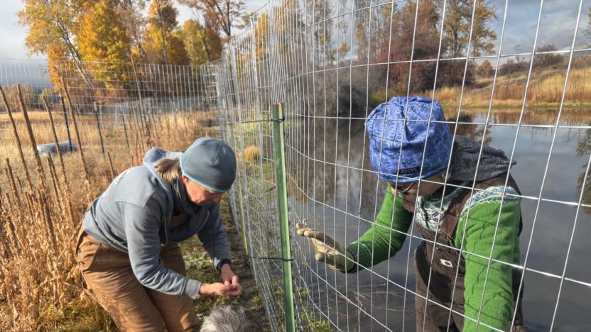 Sunny M – Riparian Planting