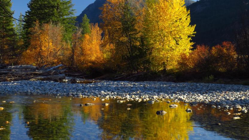 7 Reasons to Support the Methow Conservancy