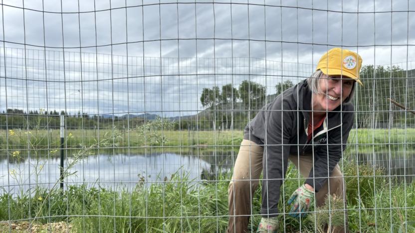 Sunny M - Wetlands Restoration Plantings Maintenance