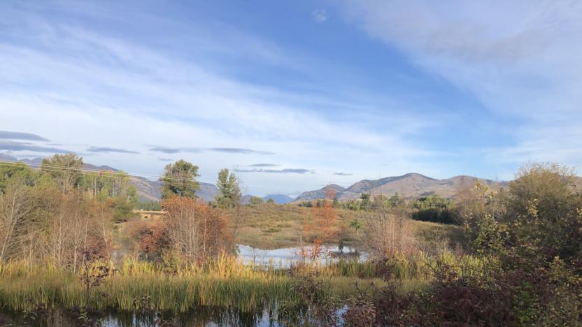 Sunny M Spring Creek Wetlands Complex Restoration Work Party