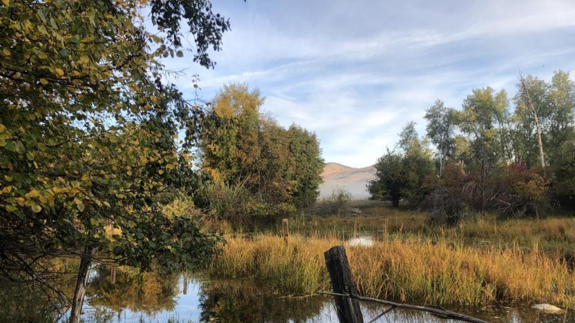 Sunny M Spring Creek Wetlands Complex Restoration Work Party