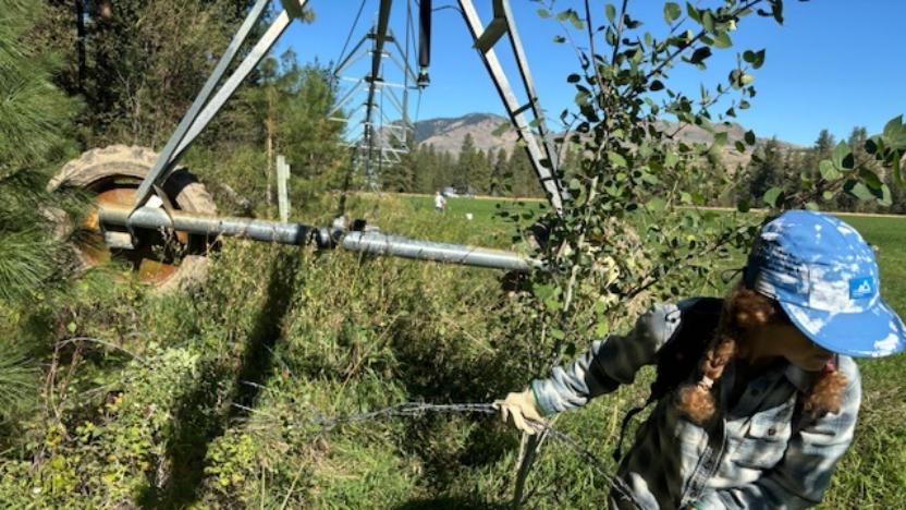 Sunny M Barbed Wire Removal Work Party