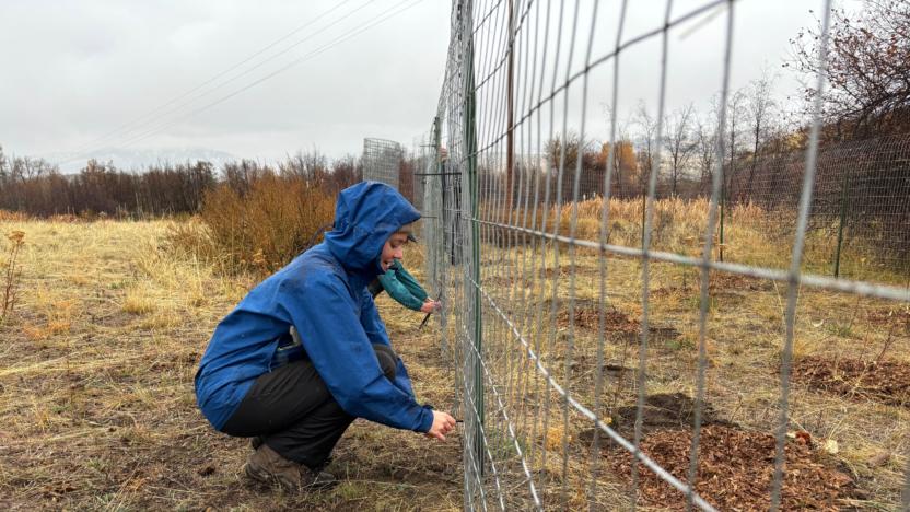 Sunny M – Riparian Planting Preparation