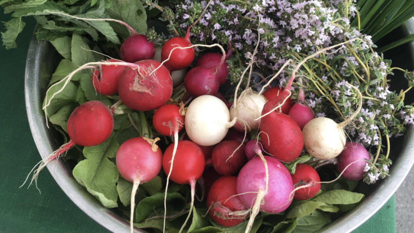 January "First" Tuesday: Food Systems Panel