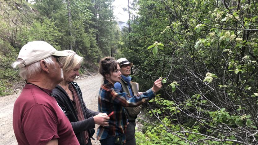 Black Bear Natural Foods - Volunteer Training