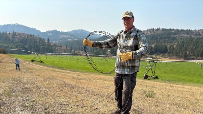 Sunny M – Barbwire Removal