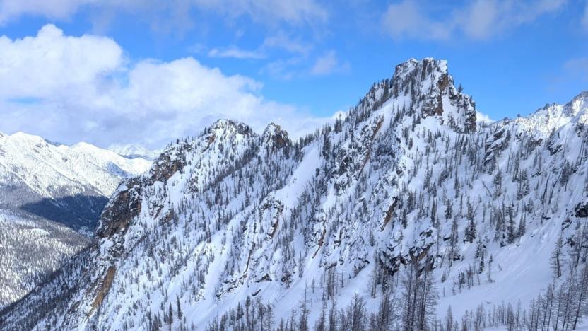 February 2026 Backyard Bulletin