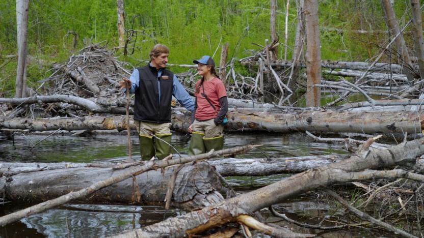 First Tuesday: The Methow Beaver Project