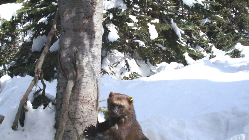 First Tuesday: Scott and Amy Fitkin on Conservation and Coexisting with Biodiversity