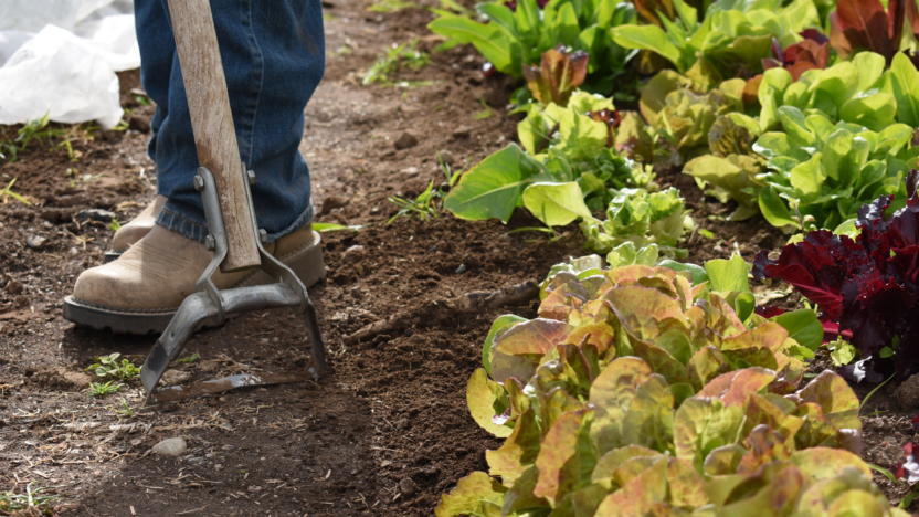 The Farmers' Forum 2025